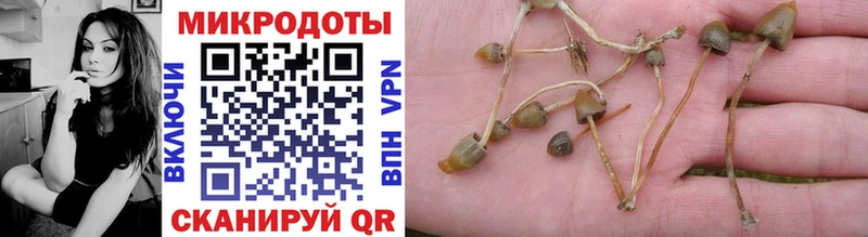 Купить где  Тайшет  Галлюциногенные грибы ЛСД 